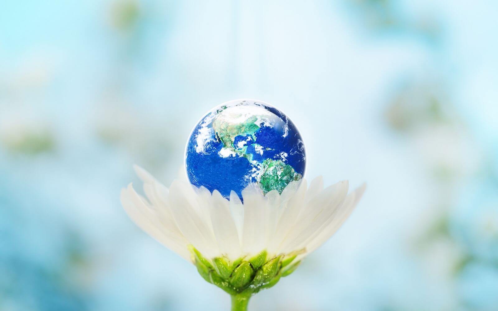 Earth Sitting On A Daisy