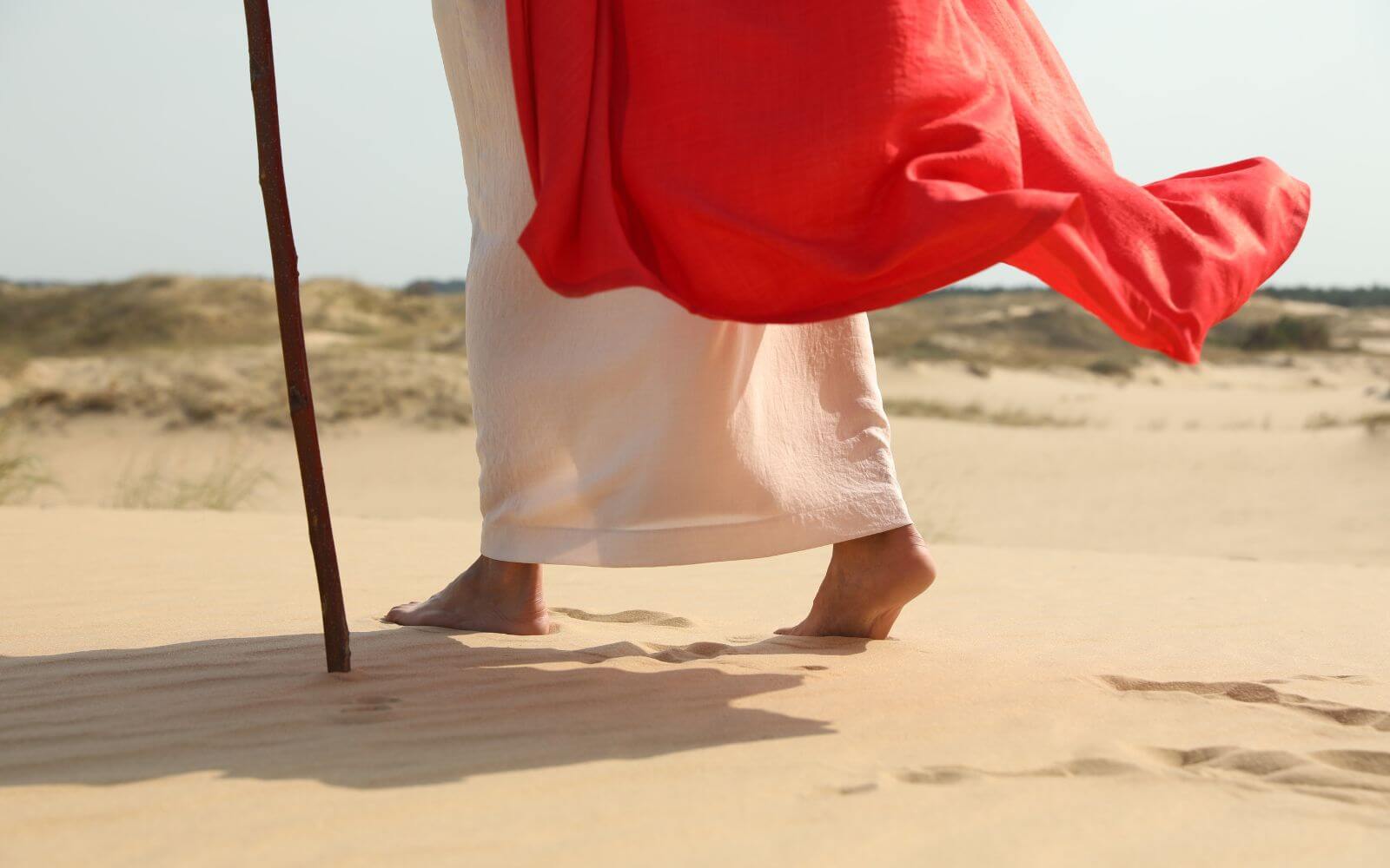 Walking In The Wilderness