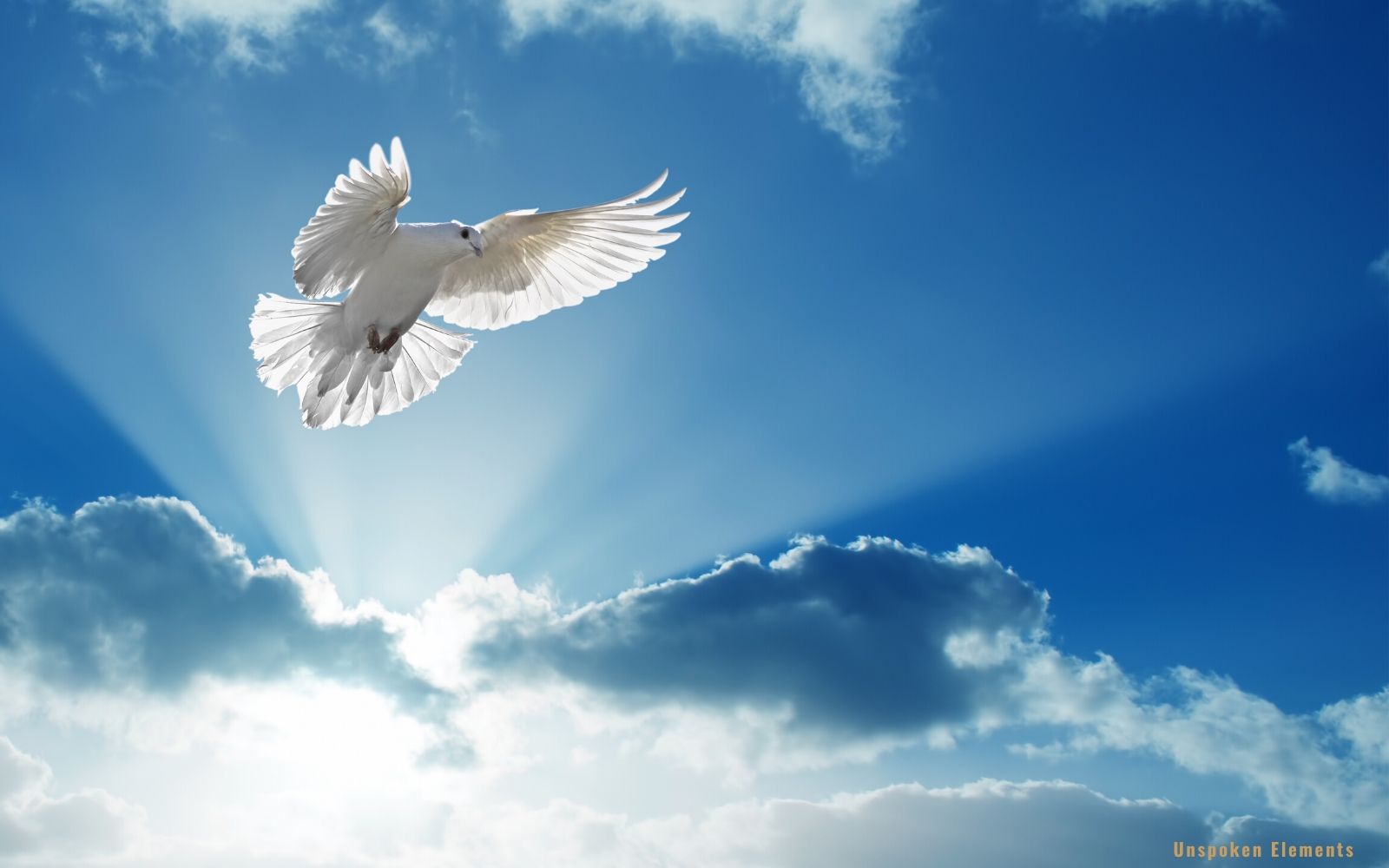 Rejoice In Hope